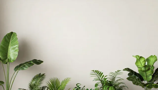 路径规划中的检查要点与应用场景分析